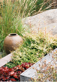 garden with rock, planter heuchera