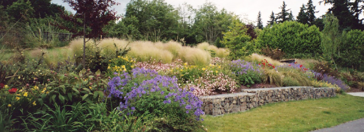 hillside garden with grasses